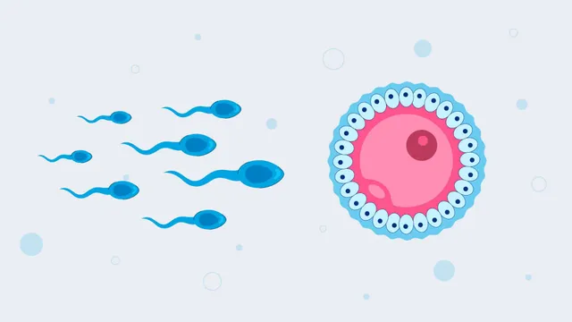 Epigenetics