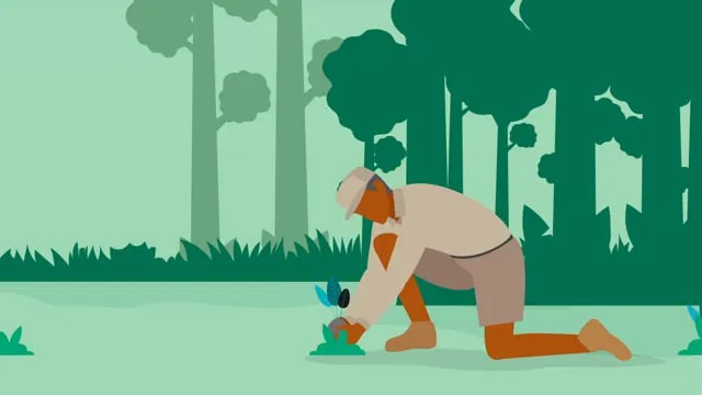 Klimaziele