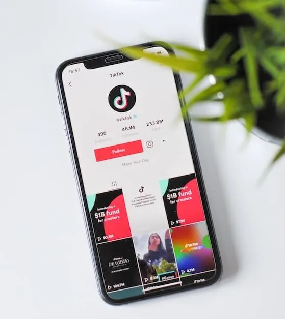 Video Marketing Trends on TikTok